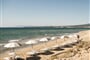 Pláž, Pineta Is Arenas, Sardinie
