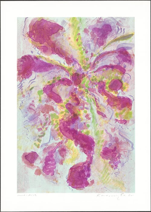 Orchidea