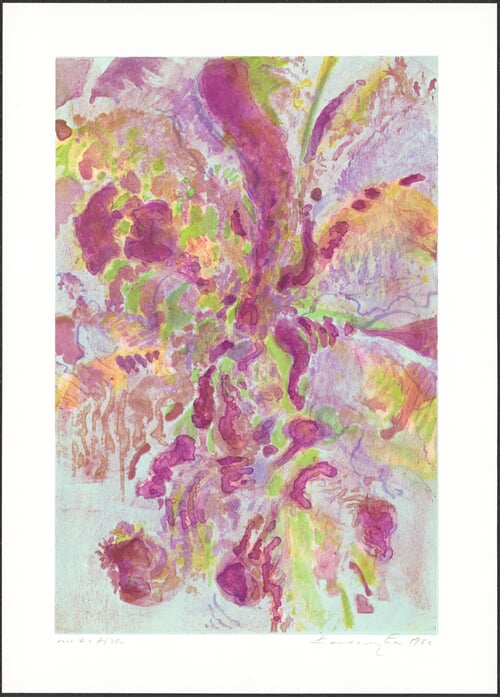 Orchidea