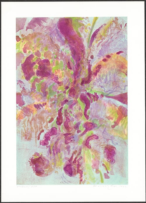 Orchidea