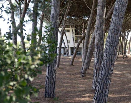 Hotel CSA Beach Park   Marina di Bibbona (5)