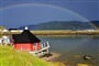 Honingsvag (2)