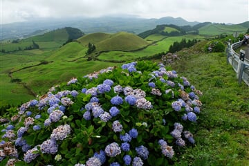 Azorské ostrovy - magické místo, které navždy učaruje