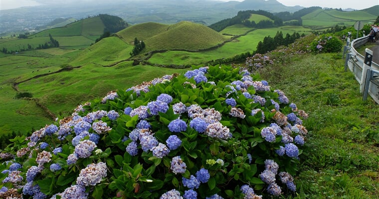 Sao Miguel 1