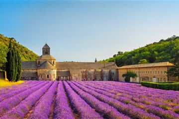 Francie - Provence, Vůně Levandule