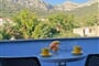 Vila Rade - S 2+1 park - Gradac - Chorvatsko - 101 CK Zemek (6)