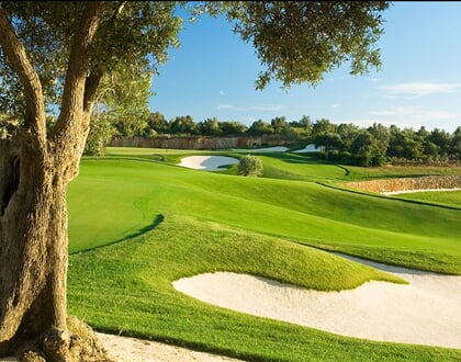 amendoeira faldo golf