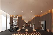 aerobic fitness