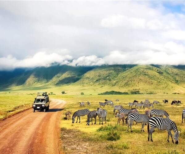 Keňa – Kombinace Safari A Bílých Pláží