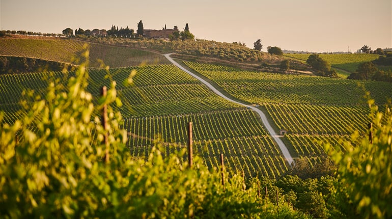 Tuscany Wineyard johny goerend pnigODapPek unsplash