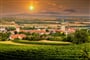 shutterstock_1599993655