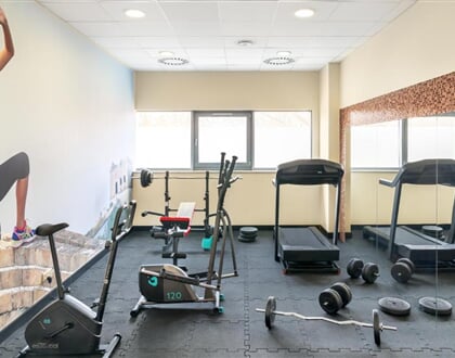 Hotel Metropolo by Golden Tulip (25)