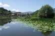 Skadarské jezero u Vilpazaru