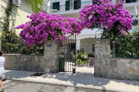 Podgora - Podgora, Apartmány Dota - 1. řada u moře