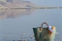 David Dead Sea (5)