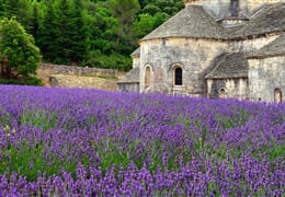 Francie - Provence, Vůně Levandule