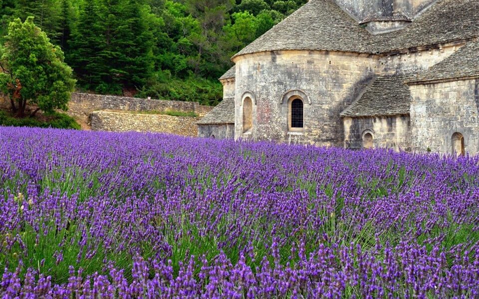 Francie - Provence - Klášter de Senanque