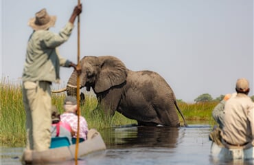 Botswana, Zimbabwe, Zambie - Africké království divočiny – Delta Okavanga, NP Chobe a Viktoriiny vodopády