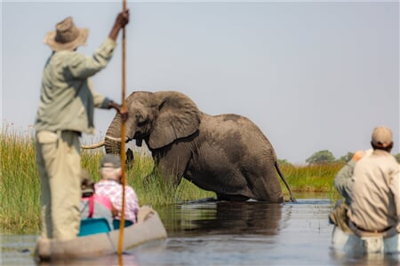 Botswana - Delta Okavanga - Africké království divočiny
