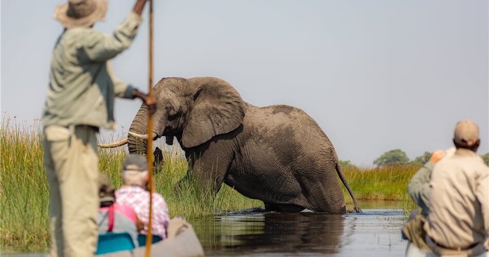 Delta Okavango