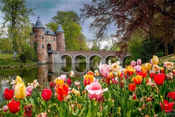 Holandsko A Belgie V Květu Tulipánů