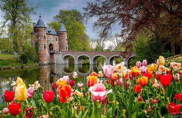 Belgie A Holandsko V Květu Tulipánů
