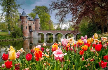 Holandsko A Belgie V Květu Tulipánů