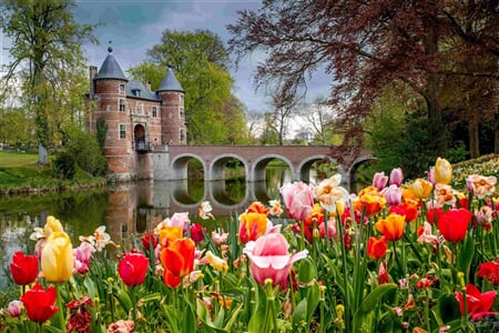 Holandsko A Belgie V Květu Tulipánů