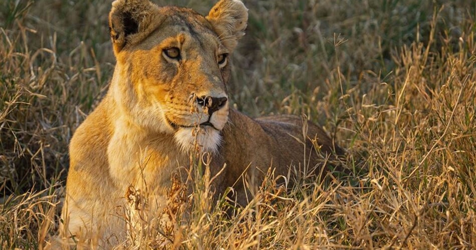 Foto - Arusha - Kouzlo Tanzanie privátně