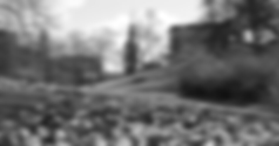 Drážďany, Míšeň, zahrady a kamélie v Pillnitz a výstava orchidejí 2026