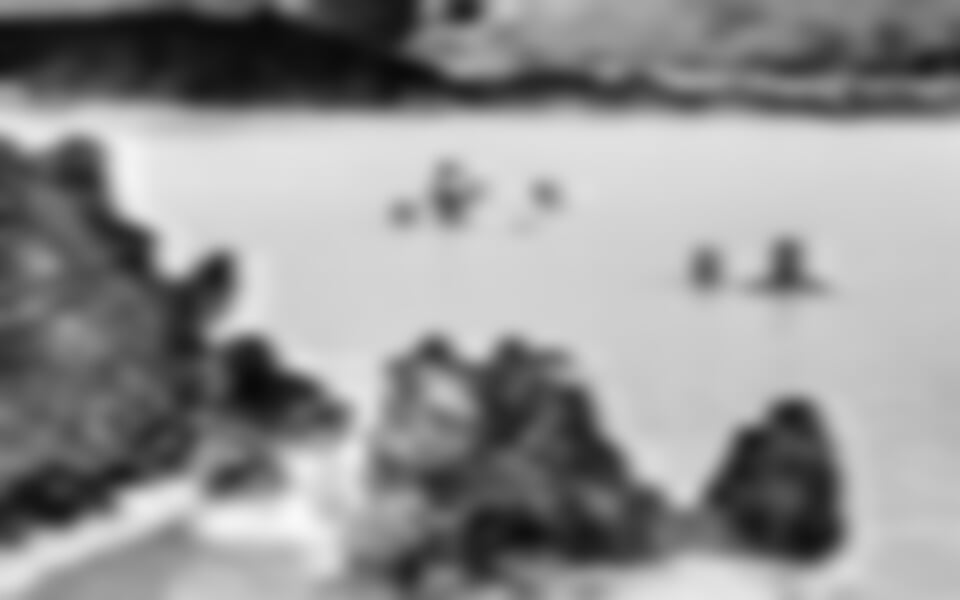 Island - poznávací zájezdy - Island Bez Kompromisů