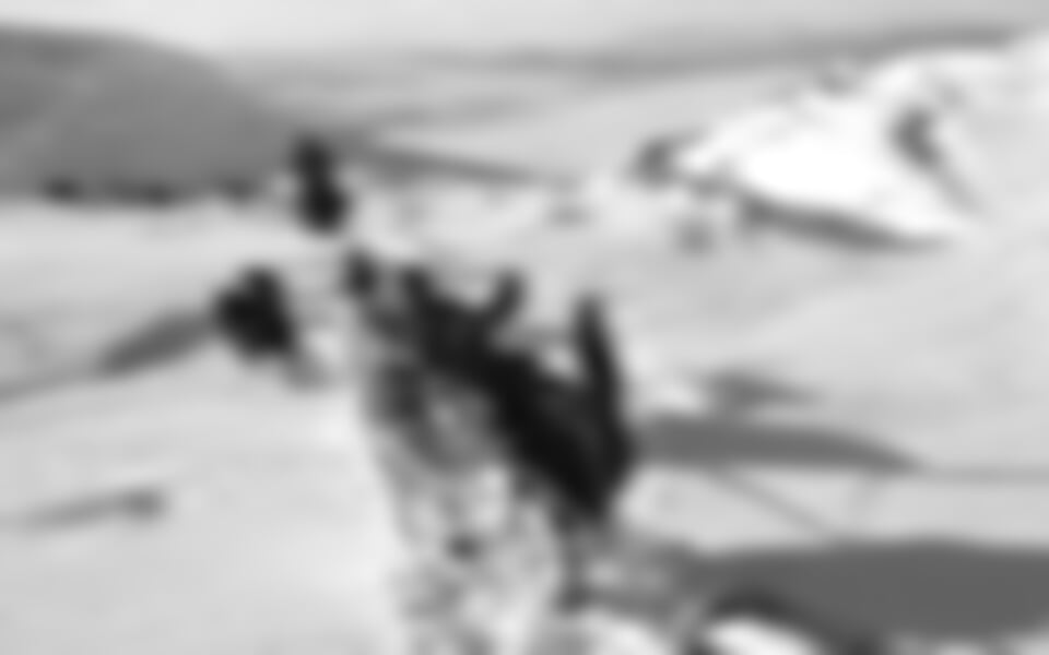 Nejkrásnější psí farma - Engholm Husky aneb PSOVODEM V ARKTIDĚ