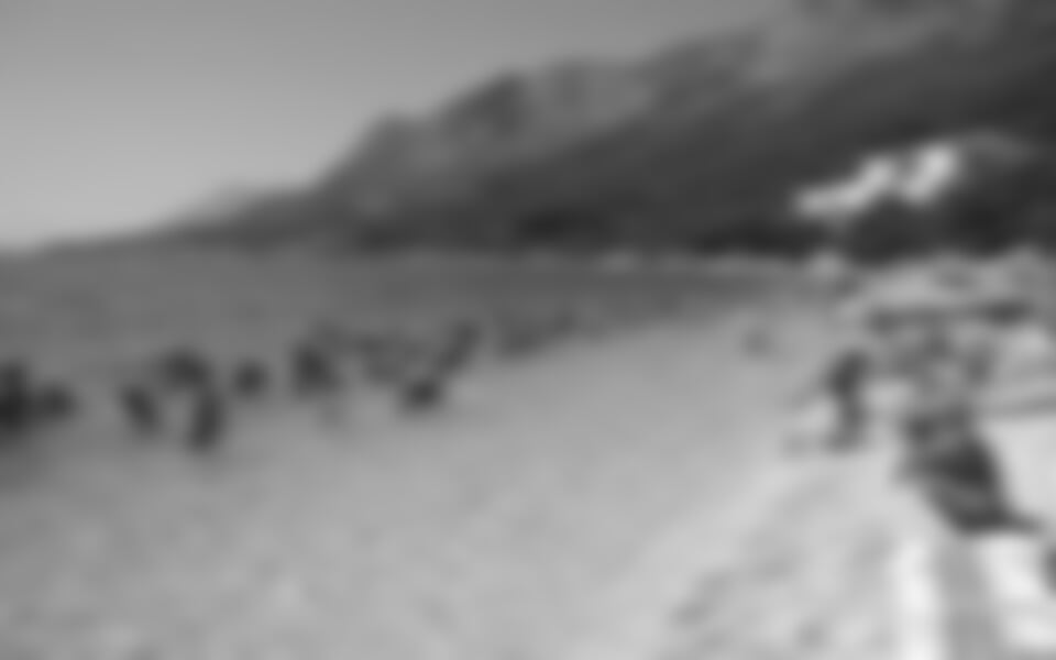 Gradac - Depandance LAGUNA B, Gradac **