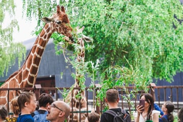 Wroclaw s návštěvou největší polské ZOO