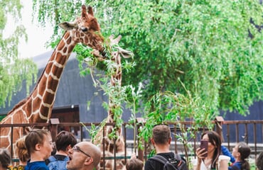 Wroclaw s návštěvou největší polské ZOO