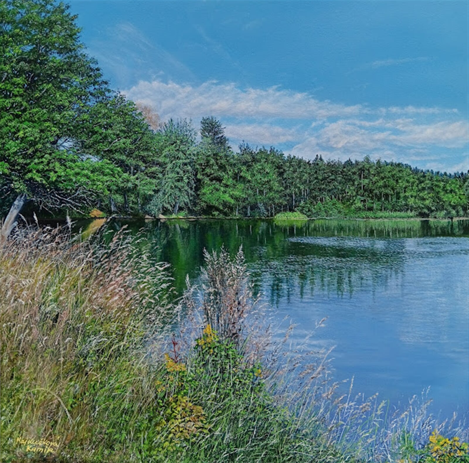 Kamila Hajdušková: Rybník Plánský, 40 × 40 cm
