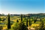 golf minthis hills