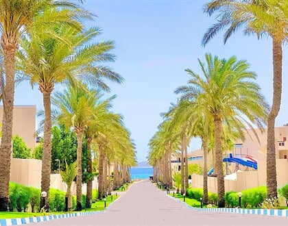Ivy-Cyrene-Island-Resort-Hotel-5