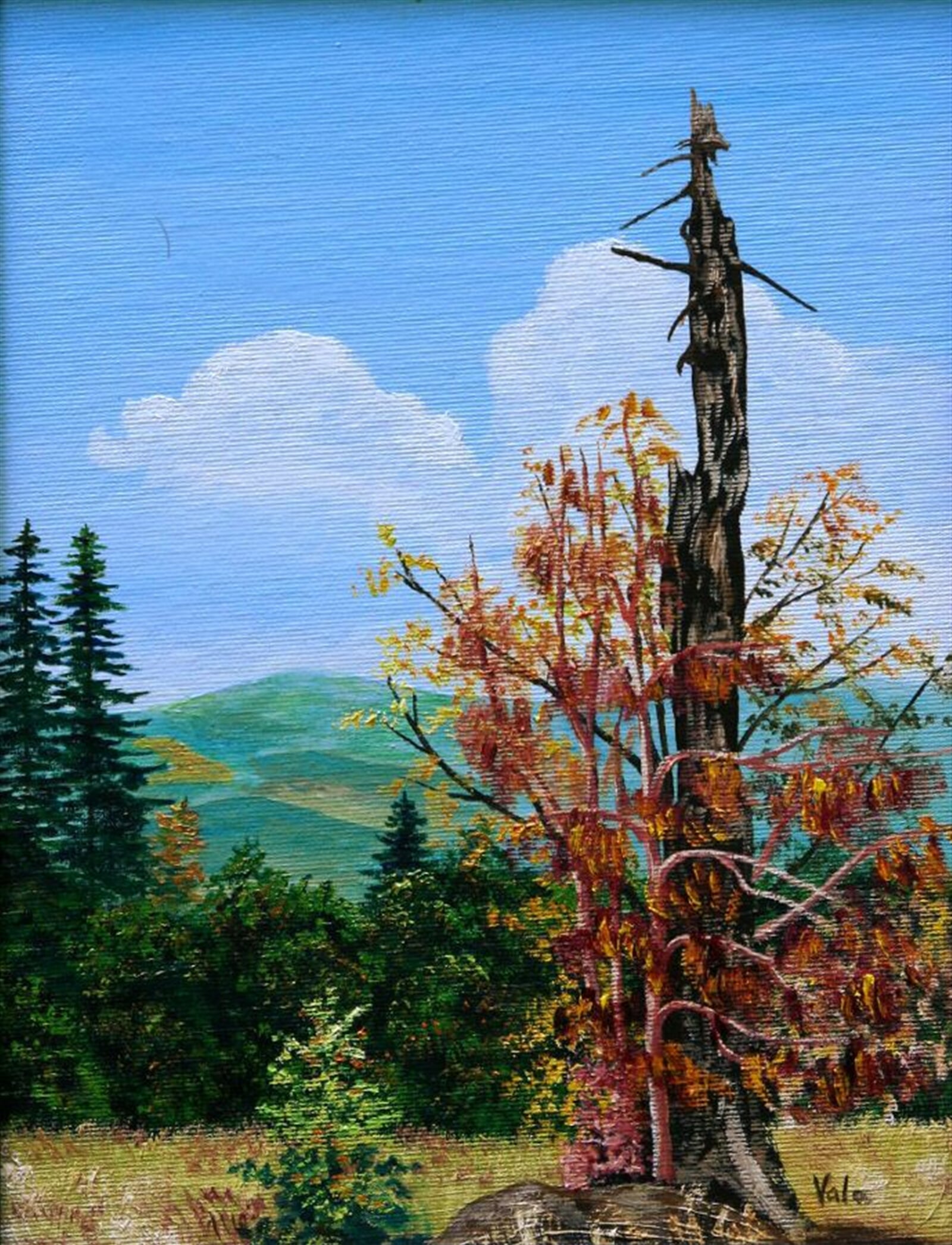Josef Vala: Beskydy