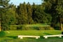 golf telc