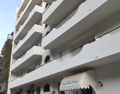 hotel Delle Palme Let 12.6 (29)