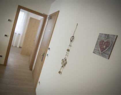 Aparthotel Dolomites, Commezzadurra (65)