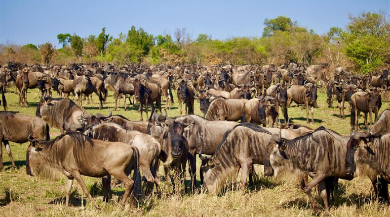 Foto - Tanzanie - jarní prázdniny na safari - s českým průvodcem