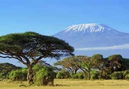 Kilimandžáro - Kilimandžáro - výstup Machame