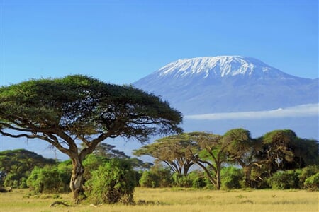 Kilimandžáro - Kilimandžáro - výstup Machame