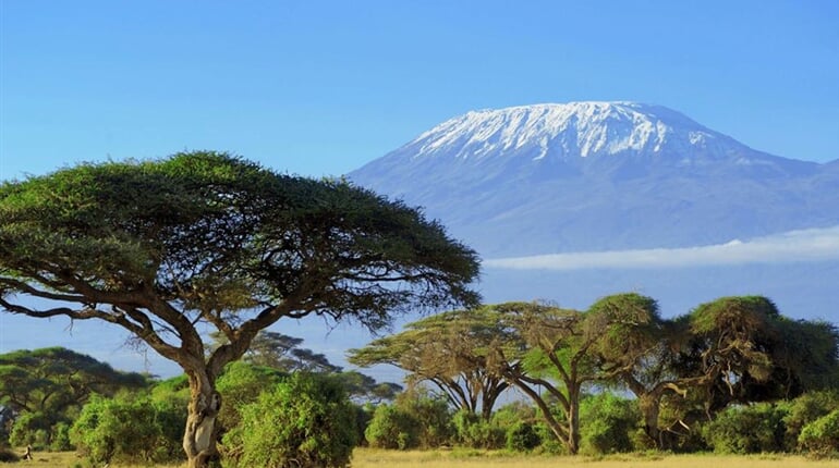 Foto - Kilimandžáro - Kilimandžáro - výstup Machame