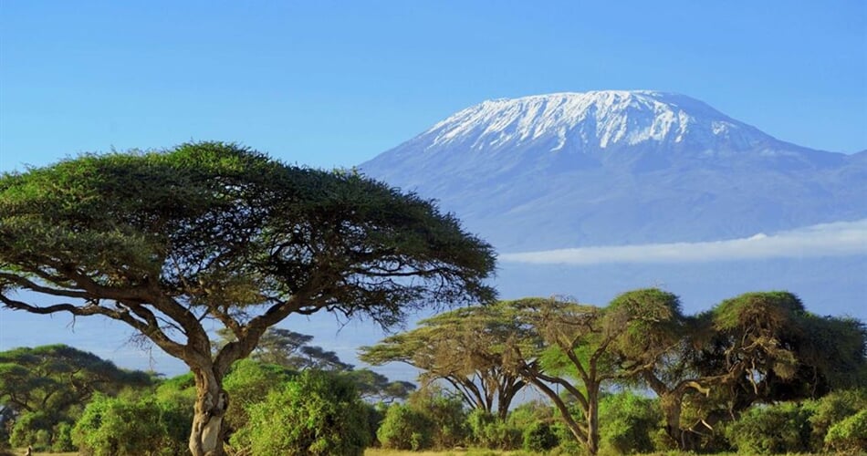 Foto - Kilimandžáro - Kilimandžáro - výstup Machame