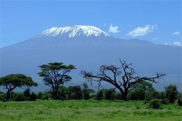 Kilimandžáro - Kilimandžáro - výstup Rongai