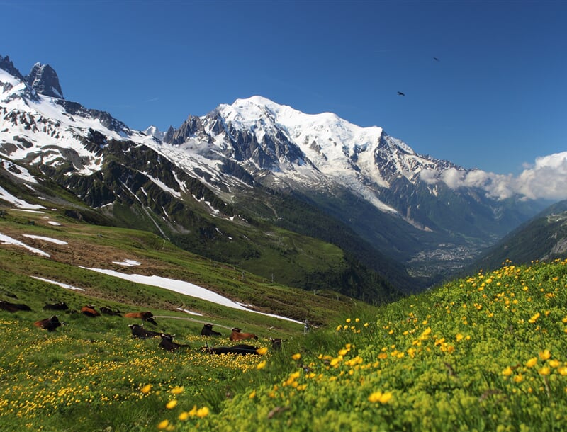 mont blanc, white mont tour, the alpy