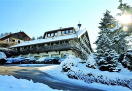 Hotel Villa Wilma *** - Folgaria